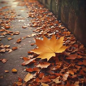 期望路过的风能替我传达这份情