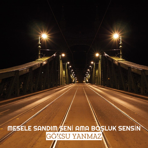 Mesele Sandim Seni̇ Ama Boşluk Sensi̇n