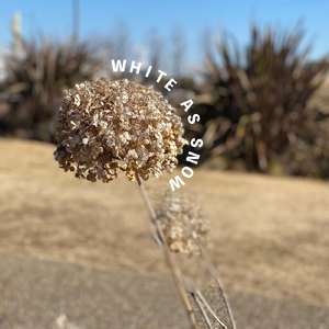 White As Snow