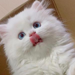 野火一季_20220416_173306