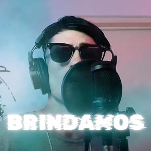 Brindamos