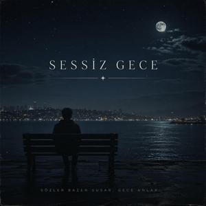 SESSİZ GECE