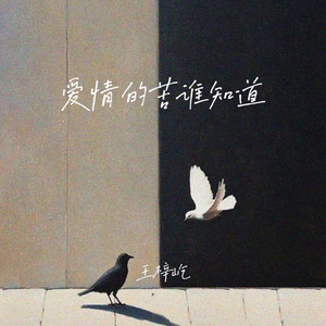 爱情的苦谁知道