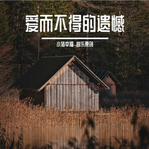 喜欢不等于幸福