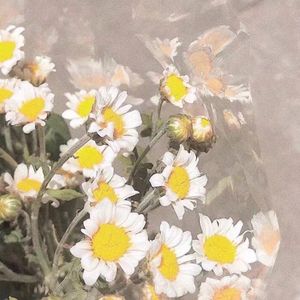 一不小心捡到爱