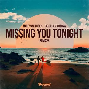 Missing You Tonight (SANXEZ Remix)