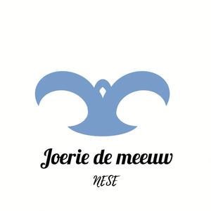 Joerie de meeuw