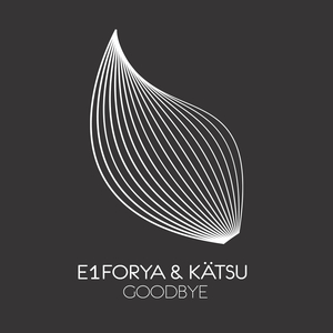Goodbye (Extended Mix)