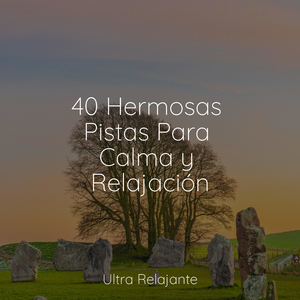 Rayo De Sol Calmante