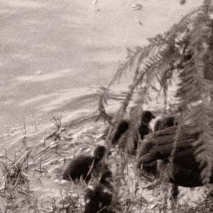 seasons (feat. Hxritage)