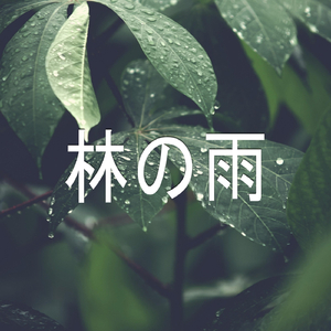 林の雨、パート50