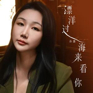 飘洋过海来看你
