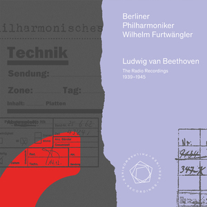 Symphony No. 9 in D minor, Op. 125: IV. Presto