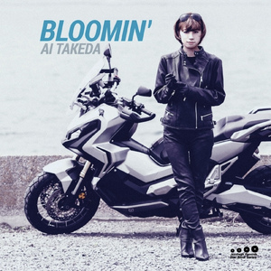 Stars Fell On Alabama (Cover)