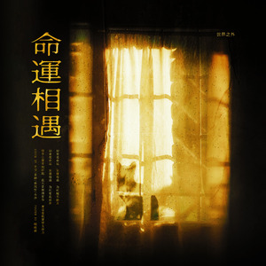 命运相遇（玩家版）