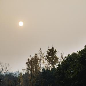 Rebalance Trap Type Beat