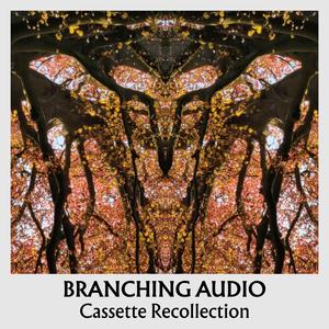 How Did That Happen?