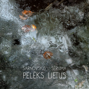 Pelēks lietus