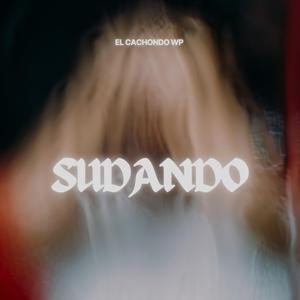 Sudando