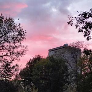 Да бъдем наистина тук / To be really here