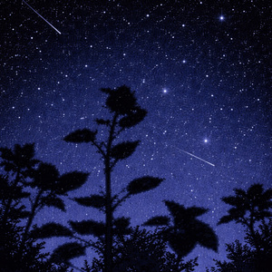 A soft warmth beneath the moon’s glow