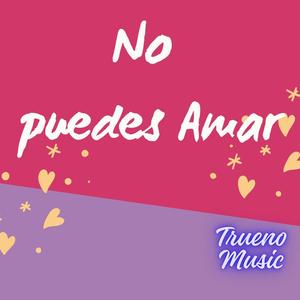 No puedes Amar