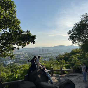 《蝉鸣注脚》