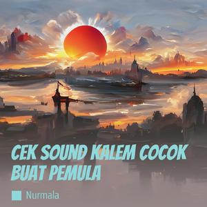 Cek Sound Kalem Cocok Buat Pemula