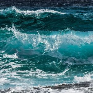 风生水起（X版）