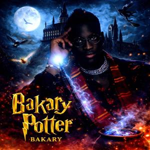 Bakary Potter