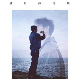 最后的选项