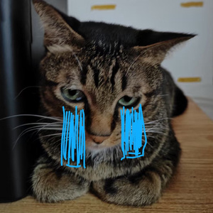 没有面包没有钱