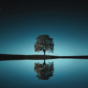 J'avais juste envie d'écrire