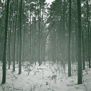 Degradation (Look at the Stars Tonight)