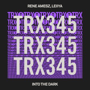 Into The Dark (Extended Mix)