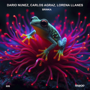 Brinka (Original mix)