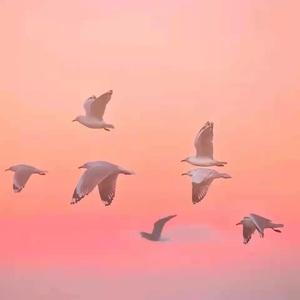 暗恋日记 (Prod by TGT)