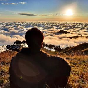 Daylight—花悻海.