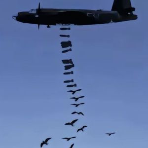 直到眼泪射进和平的心脏