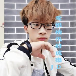 爱恨情仇终成殇DJ