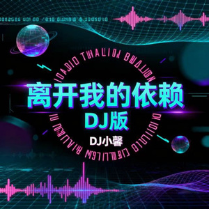离开我的依赖 (2025DJ版)