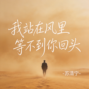 我站在风里等不到你回头