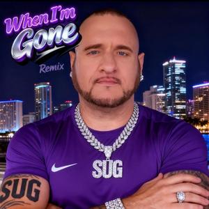 When I'm Gone (Remix)