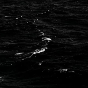 缘分是泼墨浓淡不由我