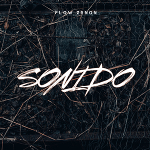 Sonido (Instrumental)