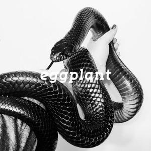 [FREE]*花蛇*Gunna×SouthSide trap beat