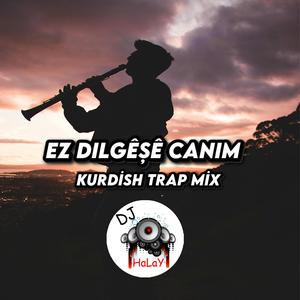 Ez Dılgeşe Canım (Kurdish Trap Mix)