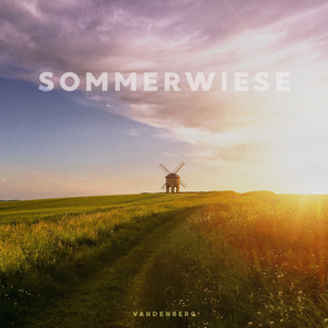 Sommerwiese