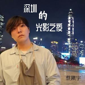 深圳的光影之夜