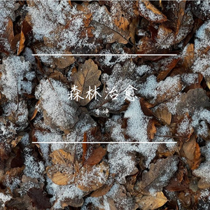 森林白噪音里的深度睡眠之境